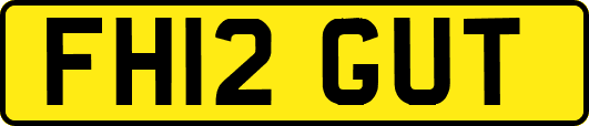 FH12GUT