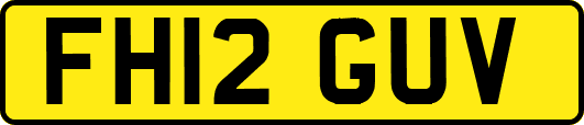 FH12GUV