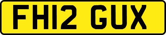 FH12GUX