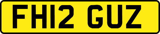 FH12GUZ