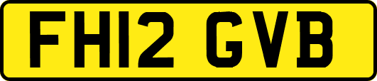 FH12GVB