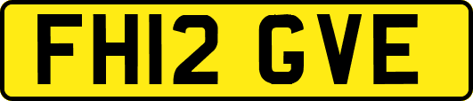 FH12GVE