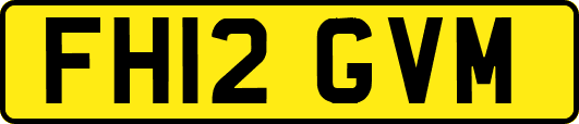 FH12GVM