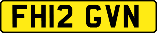 FH12GVN