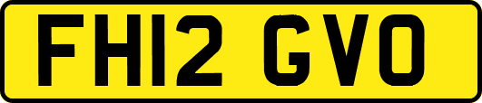 FH12GVO
