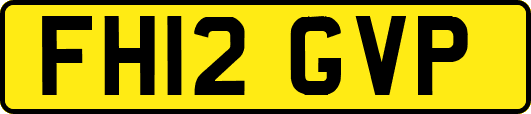 FH12GVP