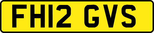 FH12GVS