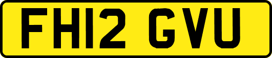 FH12GVU