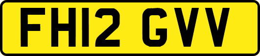 FH12GVV