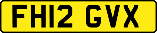 FH12GVX