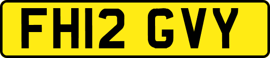 FH12GVY