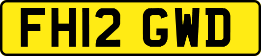 FH12GWD