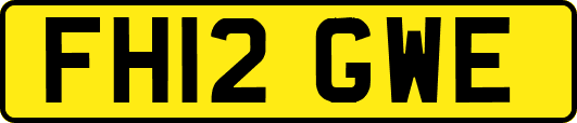 FH12GWE