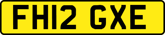 FH12GXE