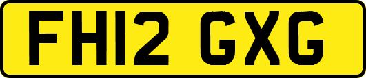 FH12GXG