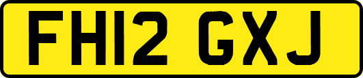 FH12GXJ