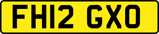 FH12GXO