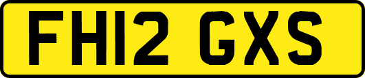 FH12GXS