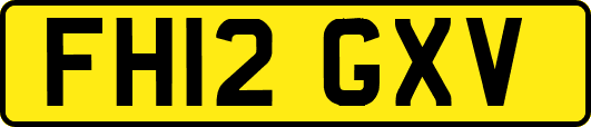 FH12GXV