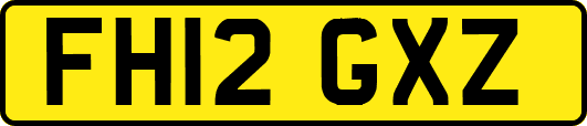 FH12GXZ