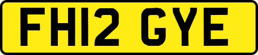 FH12GYE