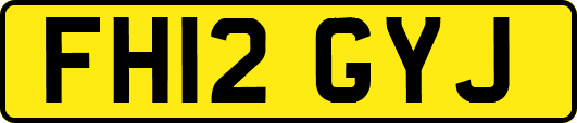 FH12GYJ