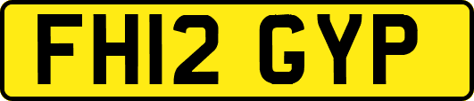 FH12GYP