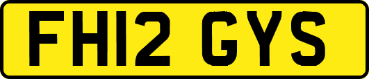 FH12GYS