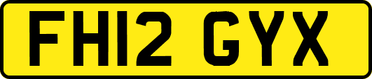 FH12GYX