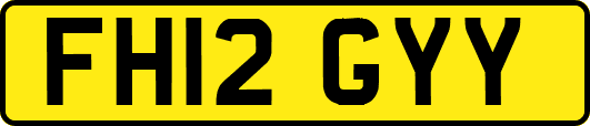 FH12GYY