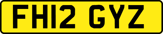 FH12GYZ
