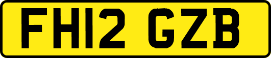 FH12GZB