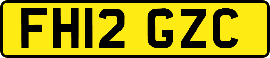 FH12GZC