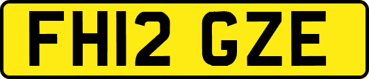 FH12GZE