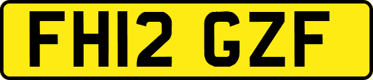 FH12GZF