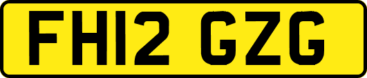 FH12GZG