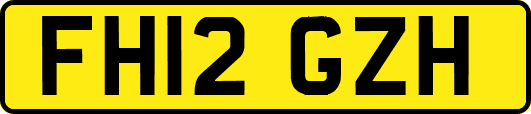 FH12GZH