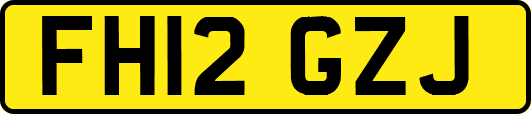 FH12GZJ