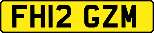 FH12GZM