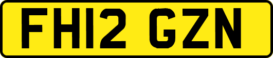 FH12GZN