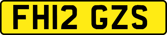 FH12GZS