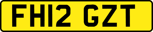 FH12GZT