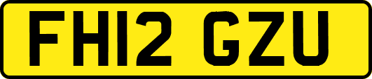 FH12GZU