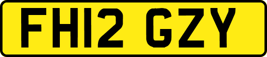 FH12GZY