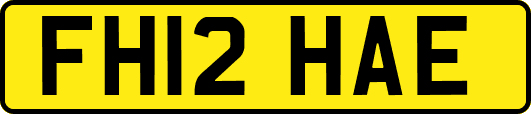 FH12HAE