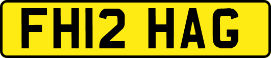 FH12HAG