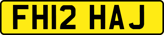 FH12HAJ
