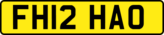 FH12HAO