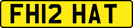 FH12HAT