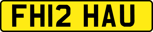 FH12HAU